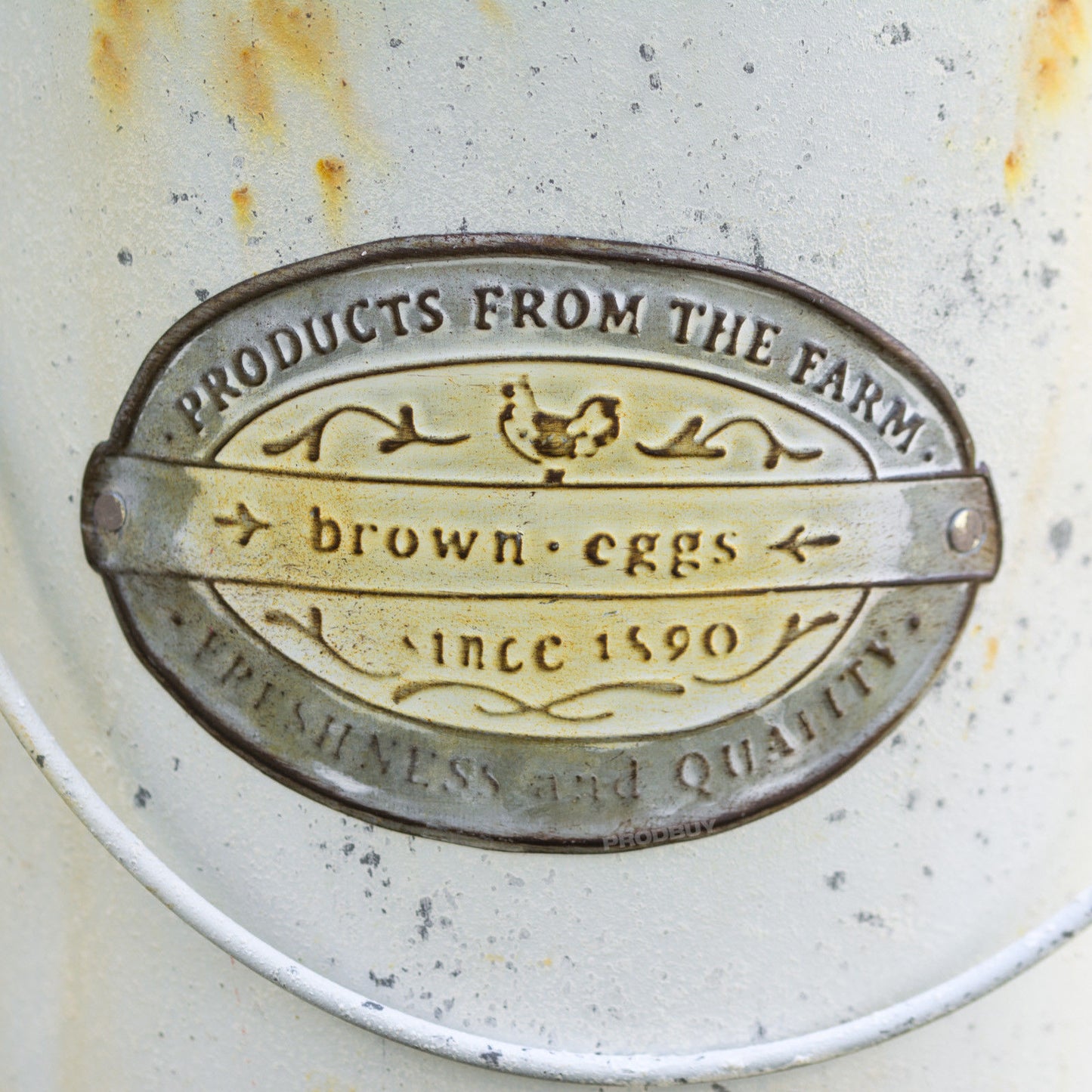 White "Brown Eggs" Milk Churn Tall Metal Flower Jug Vase