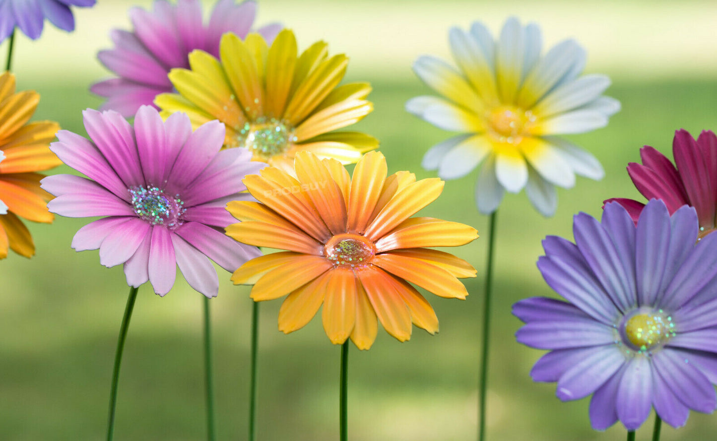 Set of 12 Colour Metal Flower Garden Stakes