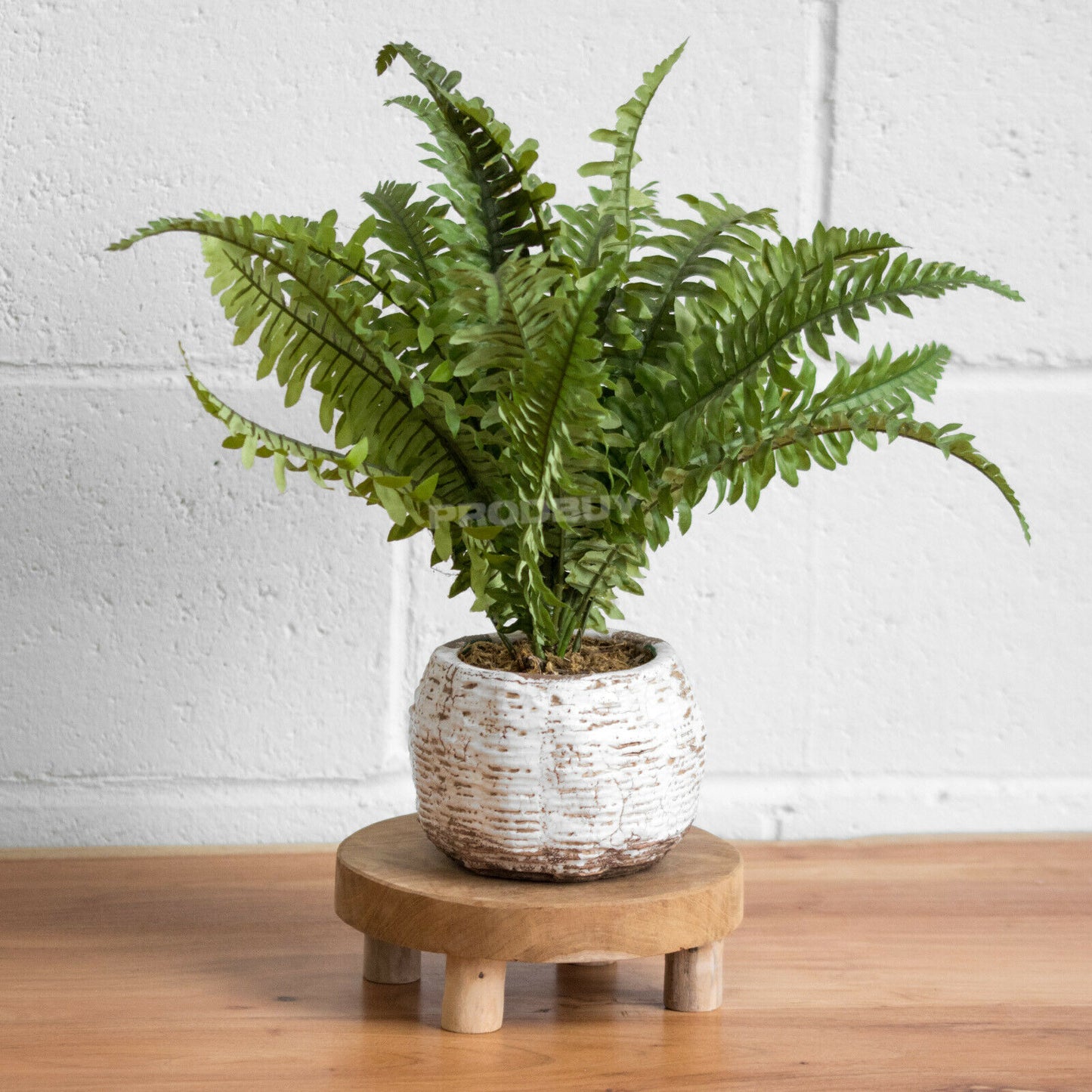 Teak Wood Plant Pot Stand Round 20cm Diameter
