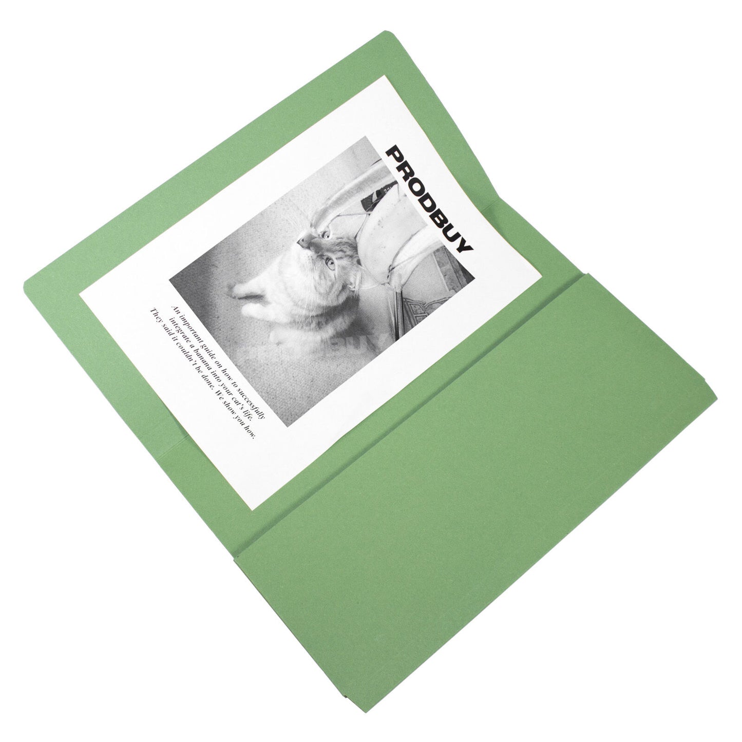 Set of 30 Guildhall Document Wallets Foolscap/A4 Folders 285gsm Card - Colour Choice