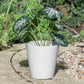Set of 3 Small Grey Plastic Plant Pot Covers 14cm