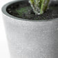 Small Artificial Saxifraga Plant In Pot 28cm