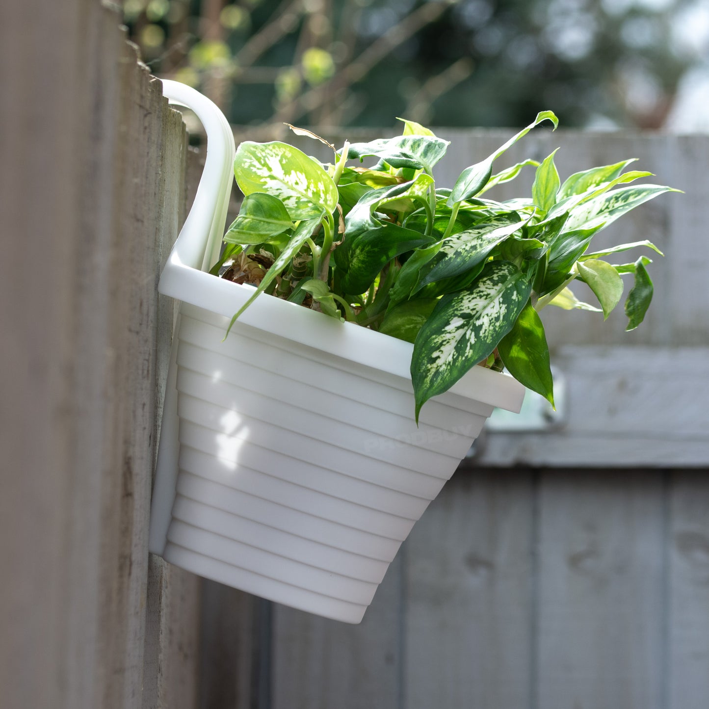 Set of 4 White Fence Hanging Garden Plant Pots