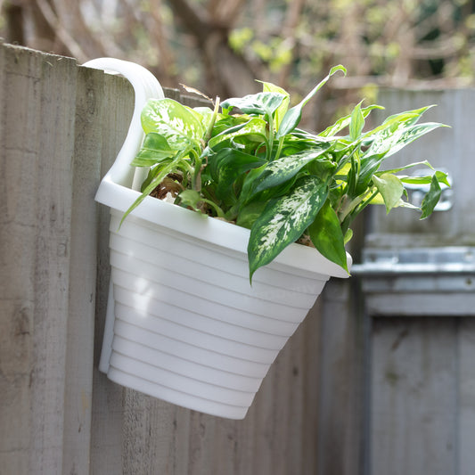 Set of 6 White Fence Hanging Garden Plant Pots