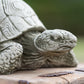 Heavy Stone 18cm Tortoise Ornament