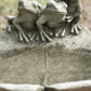 Heavy Stone 24cm Frogs on Lily Pad Bird Bath