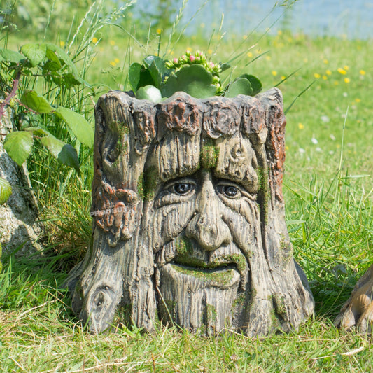 Nature Face Resin Tree Stump Plant Pot