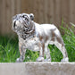 Silver Resin British Bulldog Ornament