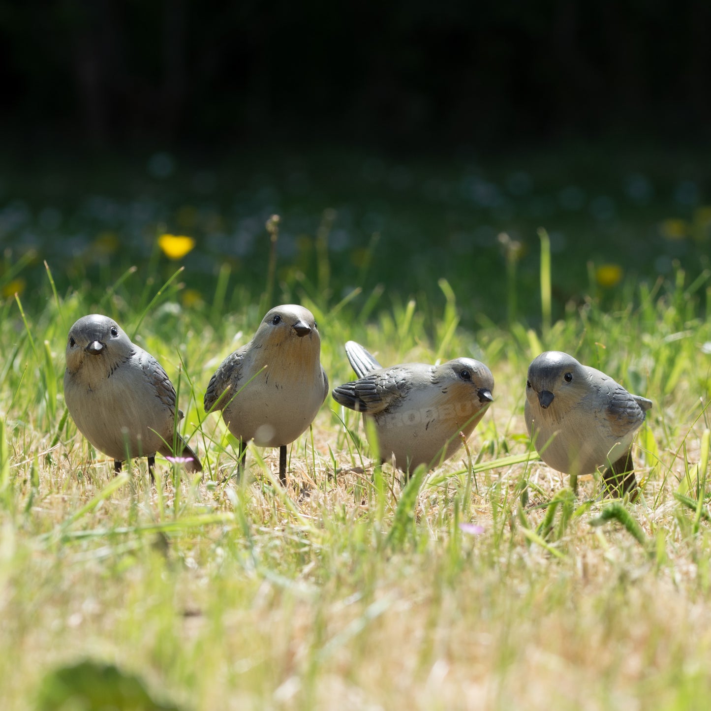 Set of 4 Small British Bird Garden Ornaments