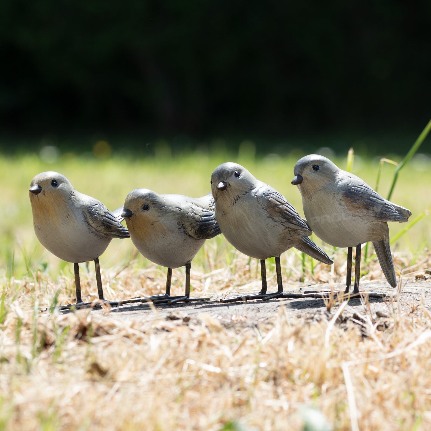 Set of 4 Small British Bird Garden Ornaments