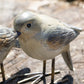 Set of 4 Small British Bird Garden Ornaments