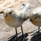 Set of 4 Small British Bird Garden Ornaments