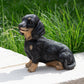 Resin 21cm Sausage Dog Ornament