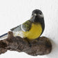 Small Blue Tit on Branch Garden Fence Ornament