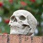 Small Heavy Stone 18cm Human Skull Ornament