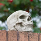 Small Heavy Stone 18cm Human Skull Ornament