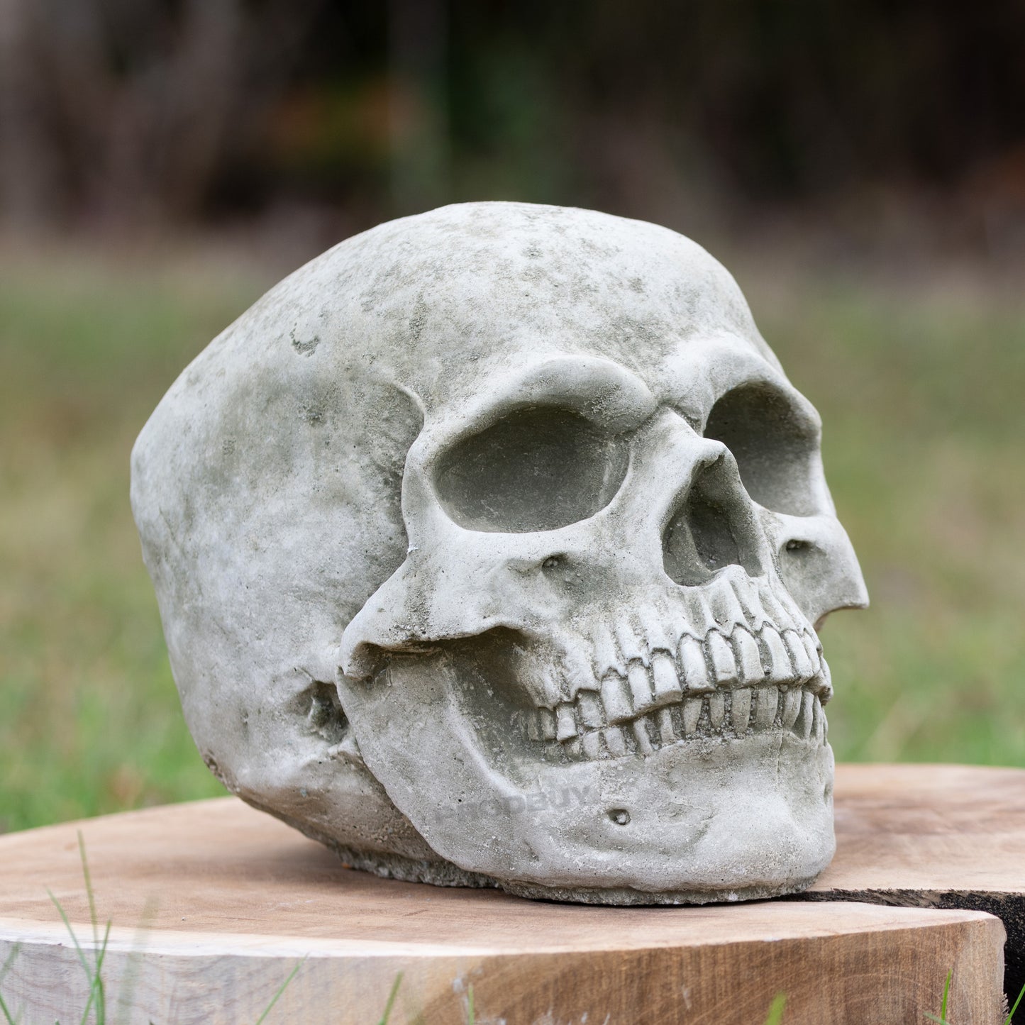 Small Heavy Stone 18cm Human Skull Ornament