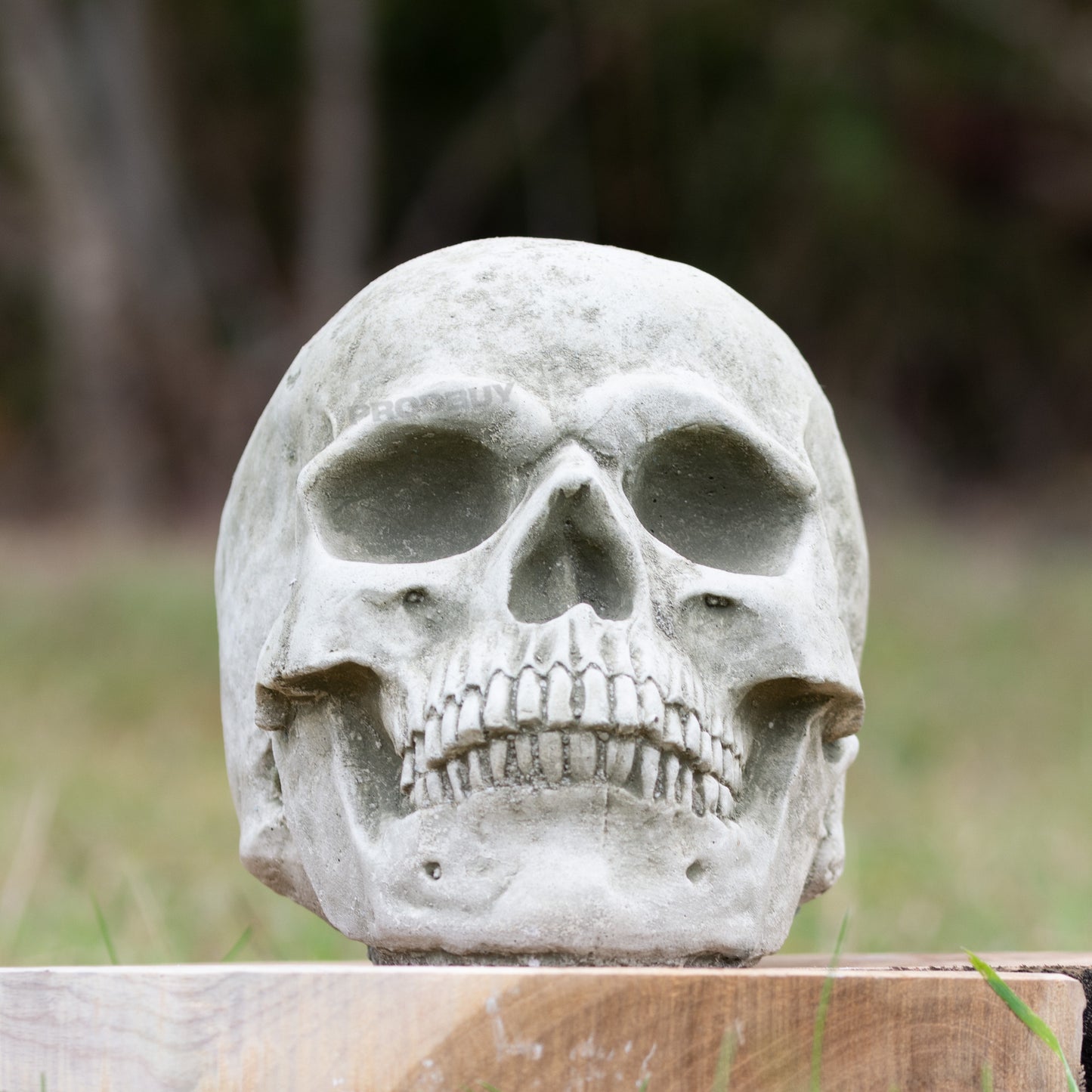 Small Heavy Stone 18cm Human Skull Ornament