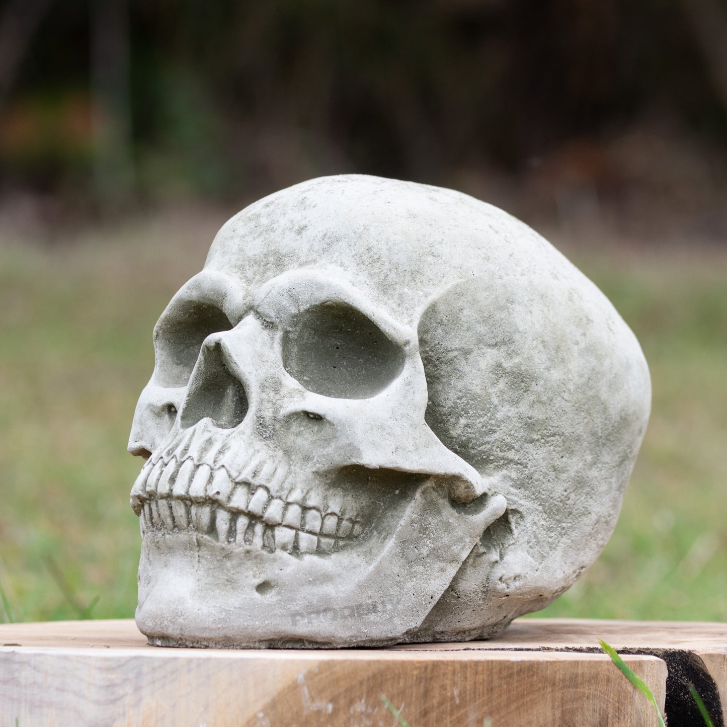 Small Heavy Stone 18cm Human Skull Ornament