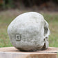 Small Heavy Stone 18cm Human Skull Ornament