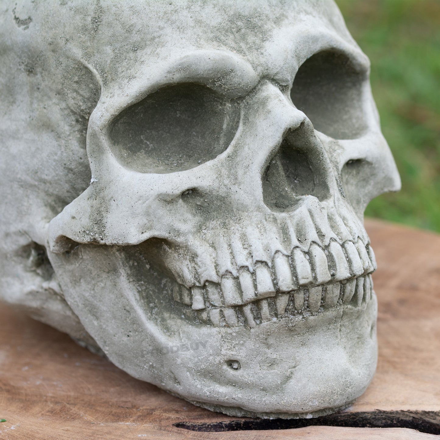 Small Heavy Stone 18cm Human Skull Ornament