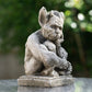 Heavy Stone Resting Gargoyle Statue 26cm