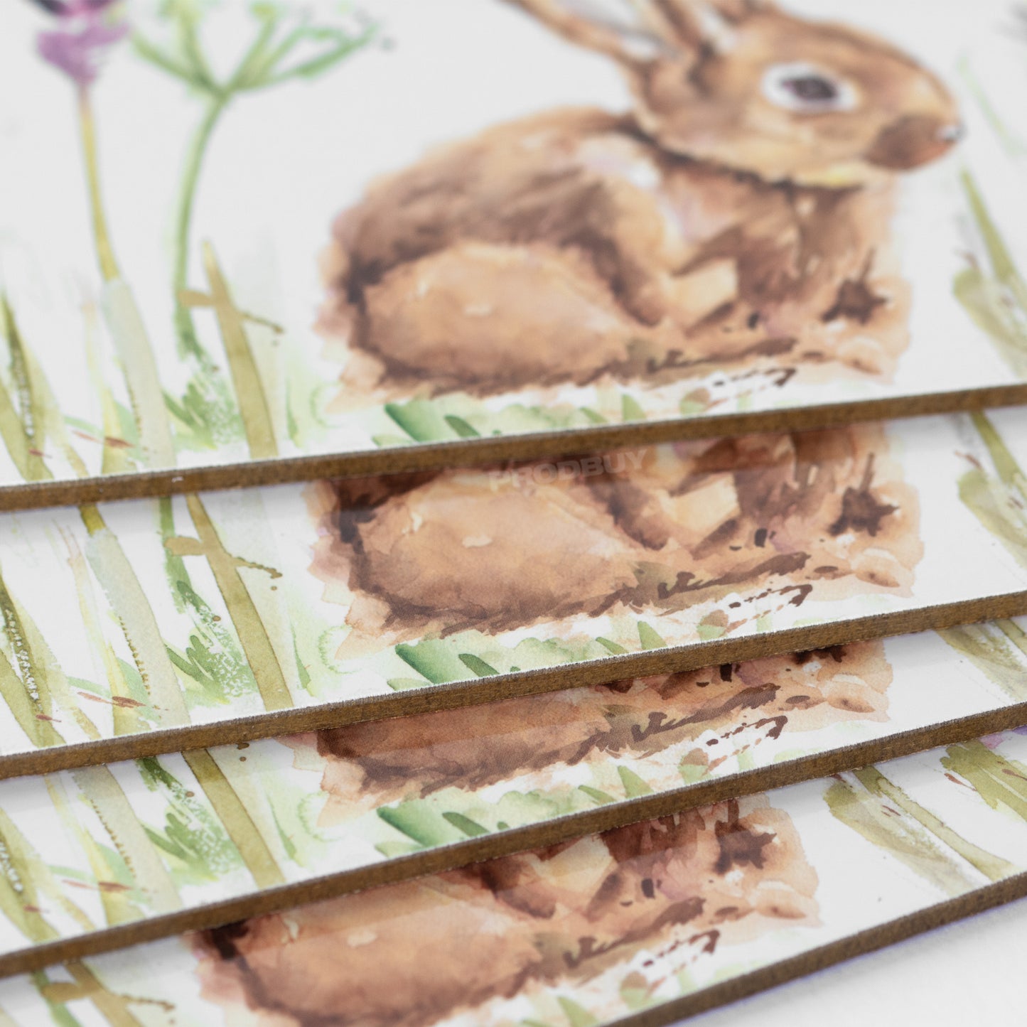 Set of 4 Placemats & 4 Coasters with Floral Hares