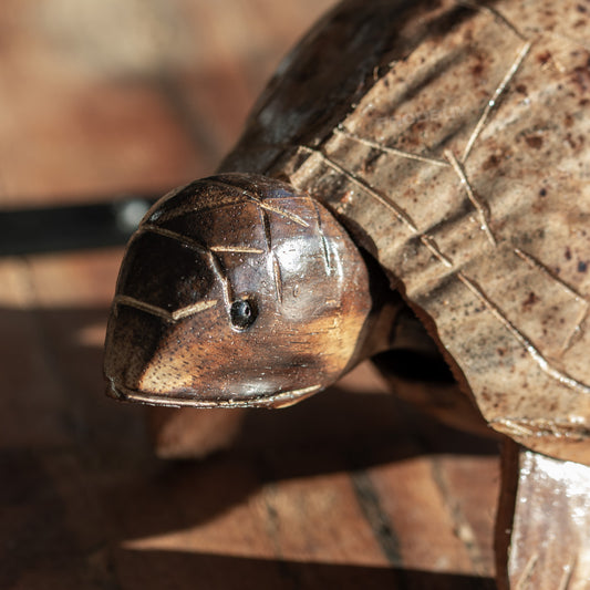 Nodding Turtle Coconut Shell Ornament 19.5cm
