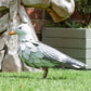 Seagull Bird 38cm Metal Garden Ornament Sculpture