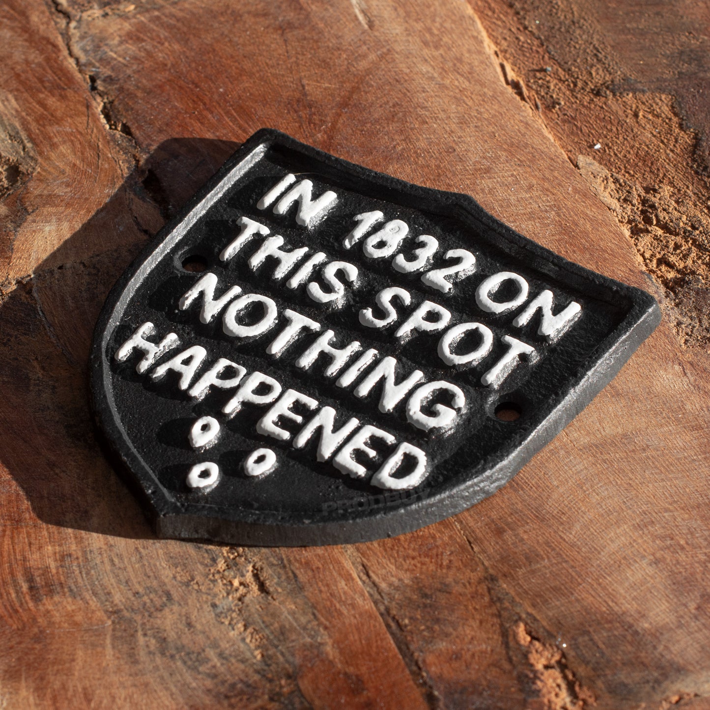 Cast Iron 'On This Spot Nothing Happened' Wall Sign