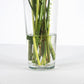 Tall 26cm Clear Glass Flower Vase
