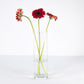 26.5cm Tall Glass Vase