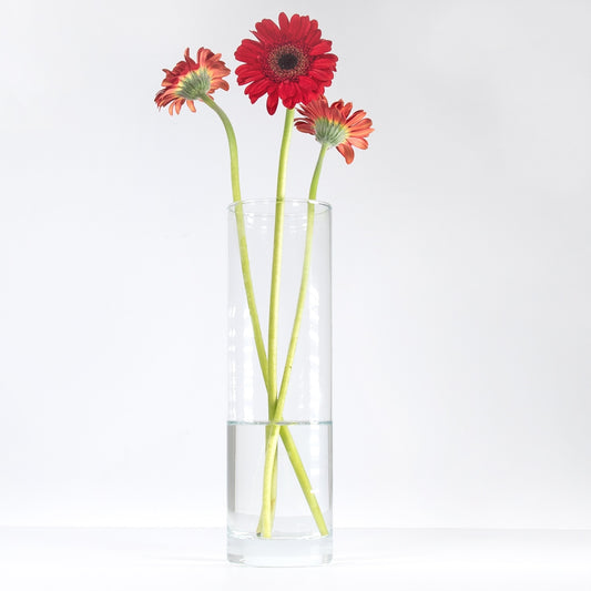 26.5cm Tall Glass Vase