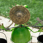 Frog with Buckets Metal Garden Lawn Ornament Statue Figurine Sculpture Planter