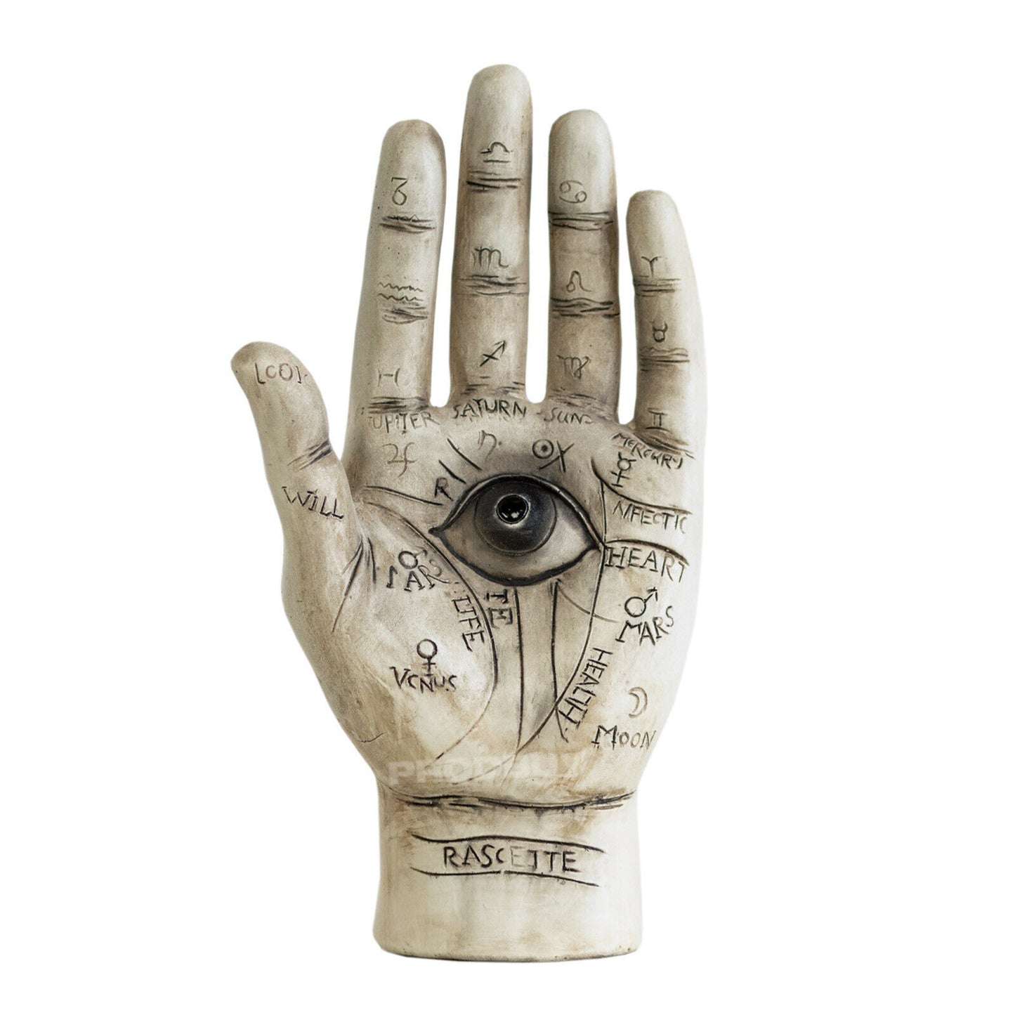 8" Palmistry Hand Ornament Hamsa Eye Sculpture Chiromancy Phrenology Palm Reader