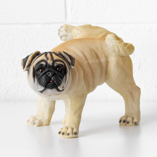 Naughty Pug Dog 34cm Garden Ornament