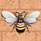 Pack of 3 Metal Bee 25cm Wall Decorations