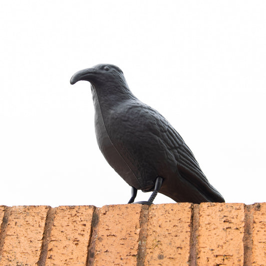 Pack of 3 Pigeon Scarer Crow Birds