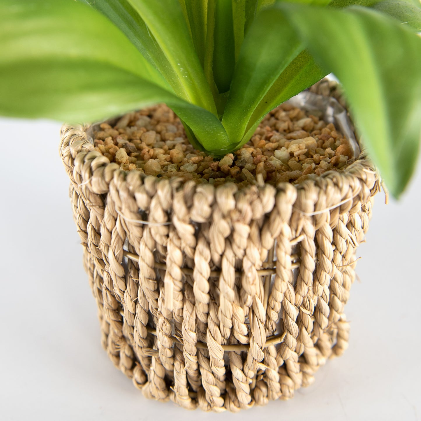 Realistic Artificial Succulent Houseplant in Seagrass Planter