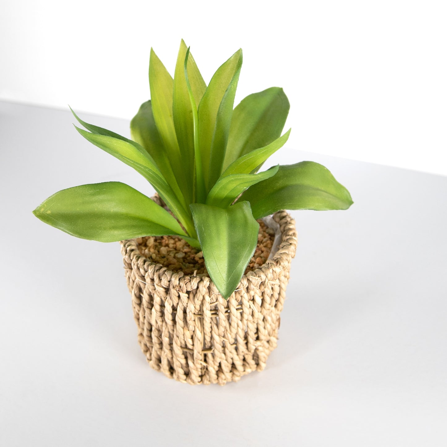 Realistic Artificial Succulent Houseplant in Seagrass Planter