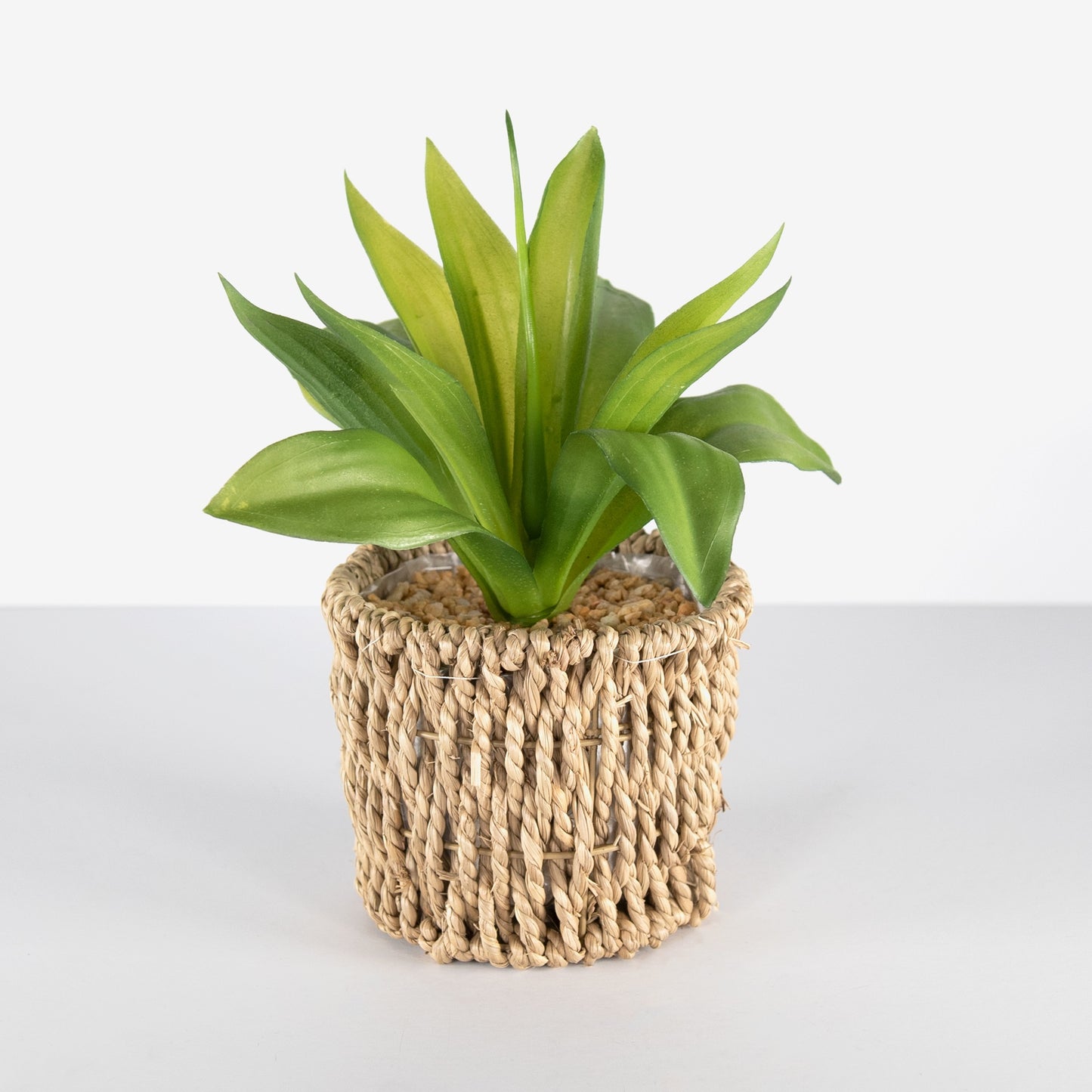 Realistic Artificial Succulent Houseplant in Seagrass Planter