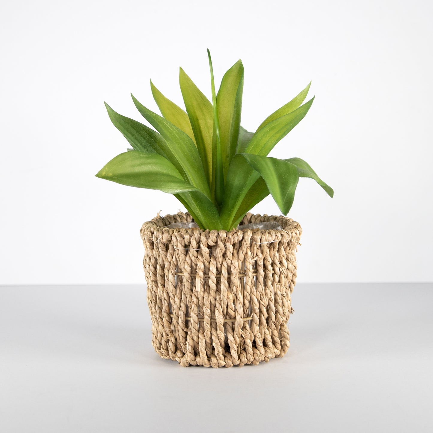 Realistic Artificial Succulent Houseplant in Seagrass Planter