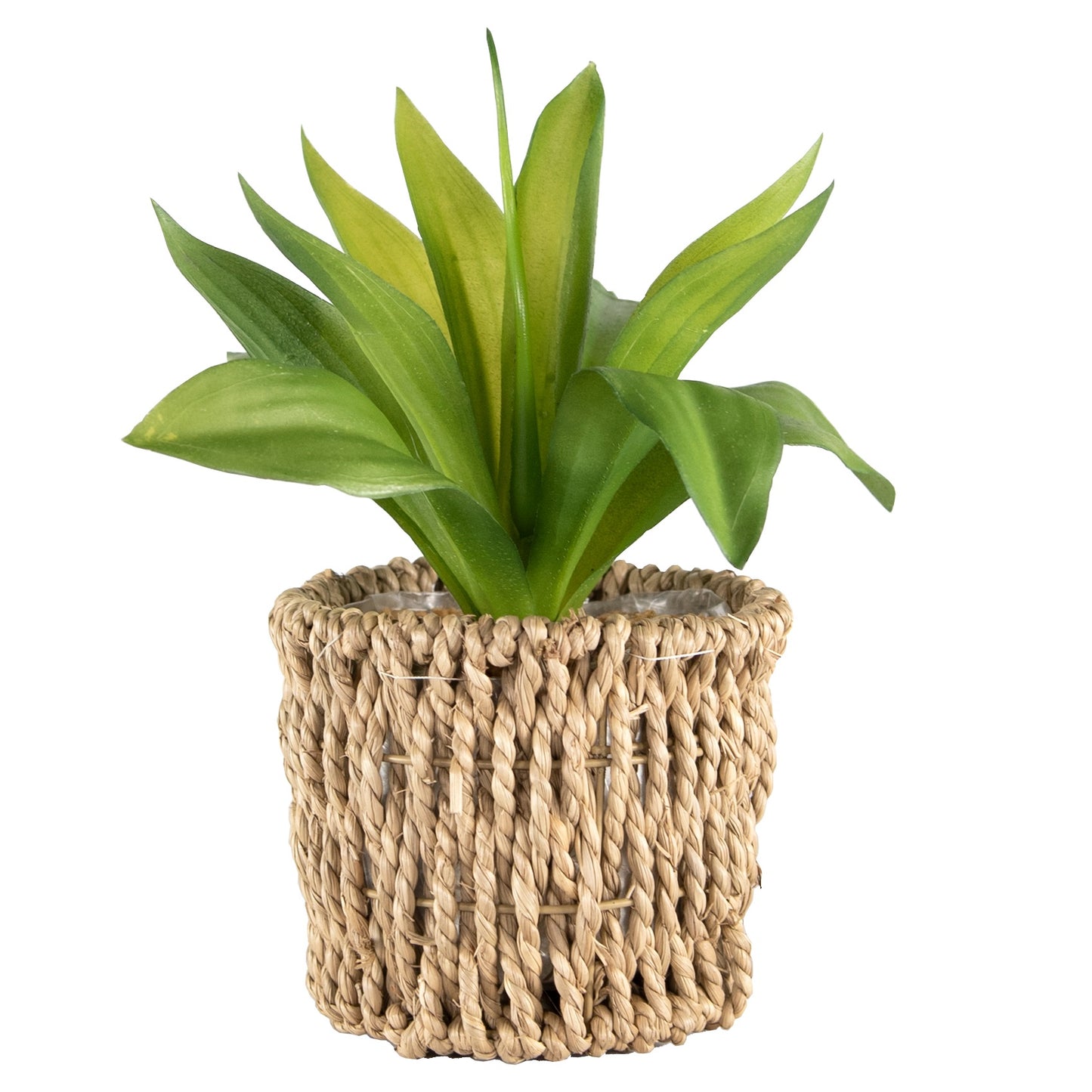 Realistic Artificial Succulent Houseplant in Seagrass Planter