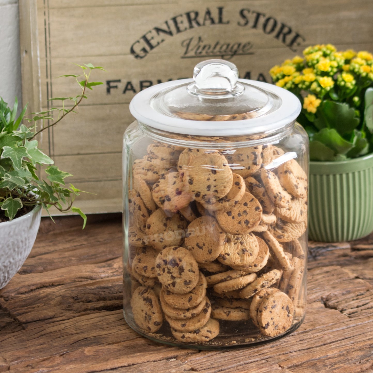 Large 6 Litre Glass Biscotti Storage Display Jar