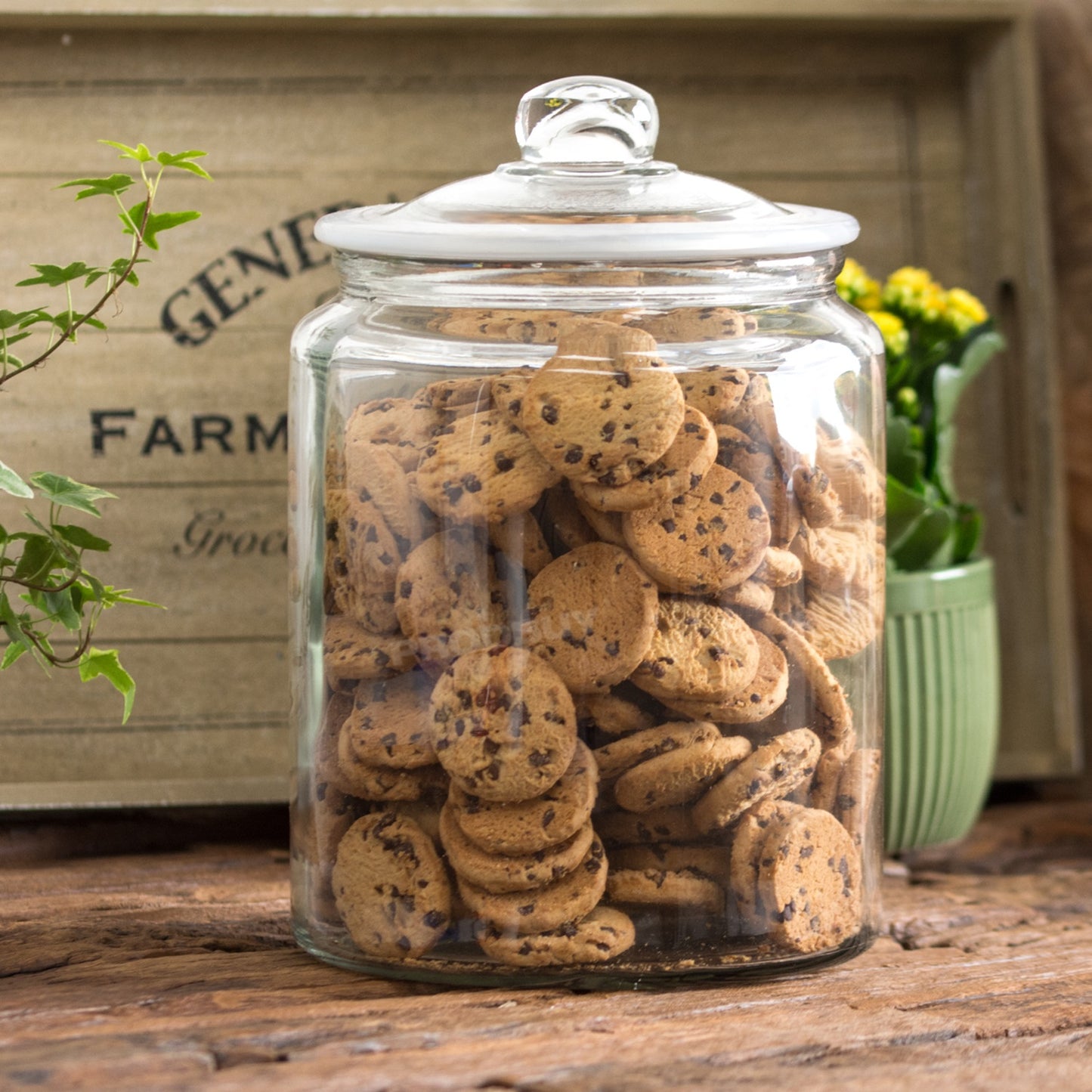 Large 6 Litre Glass Biscotti Storage Display Jar