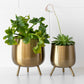 Bellied Brushed Gold Metal Plant Pot Cover