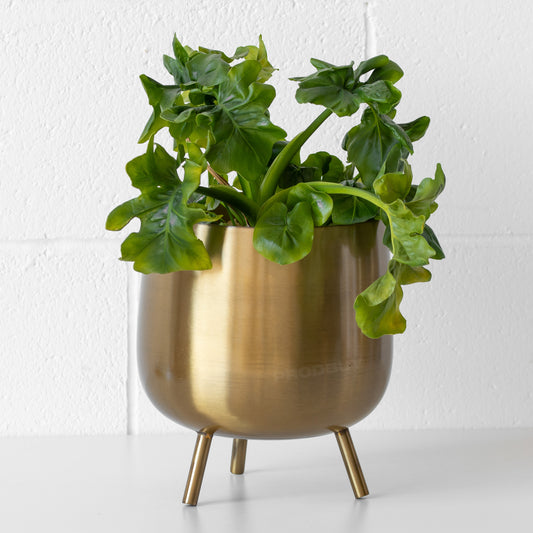 Bellied Brushed Gold Metal Plant Pot Cover