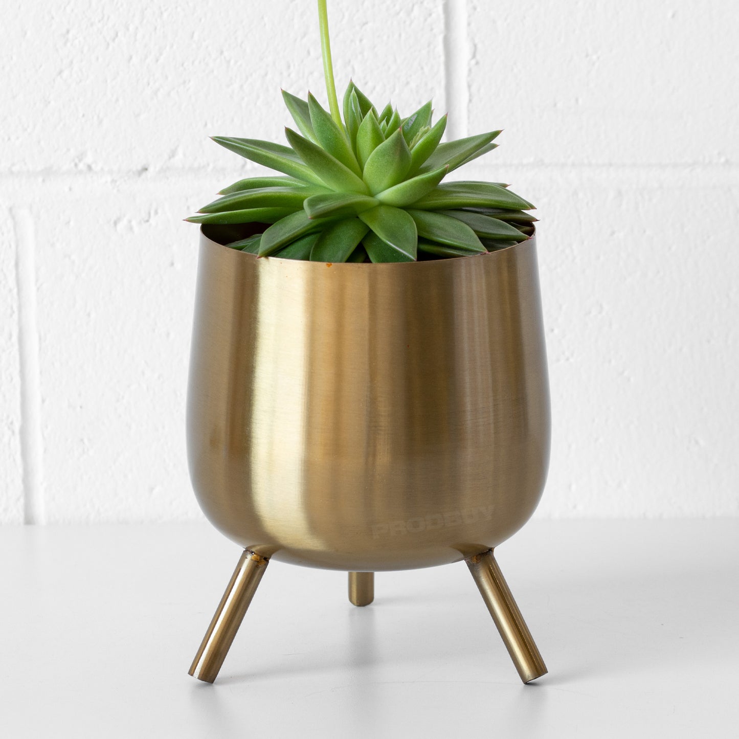 Bellied Brushed Gold Metal Plant Pot Cover