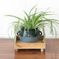 Square 24cm Wooden Plant Pot Tray with Legs