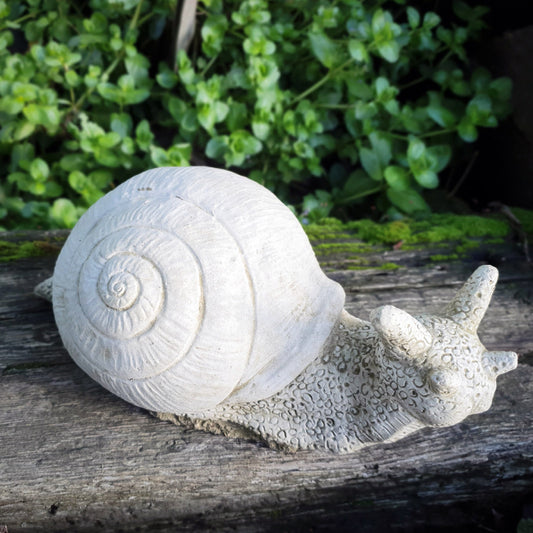 Snail Ornament 29cm Heavy Concrete Stoneware